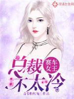 赛车女王:总裁不太冷