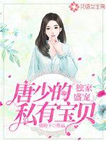独家盛宠:唐少的私有宝贝