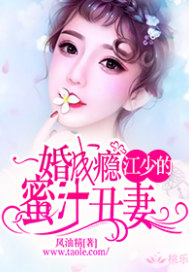 一婚成瘾:江少的蜜汁丑妻