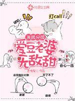 顶级应援:爱豆老婆无敌甜